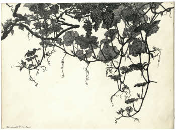 Visualizza l'immagine "FD D 2771"